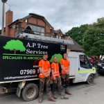 An image of smiling AP Tree Services team members